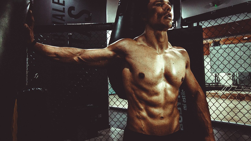 muscle building